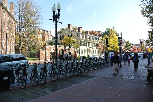 ボストン留学サポート情報：ハーバード大学の雰囲気