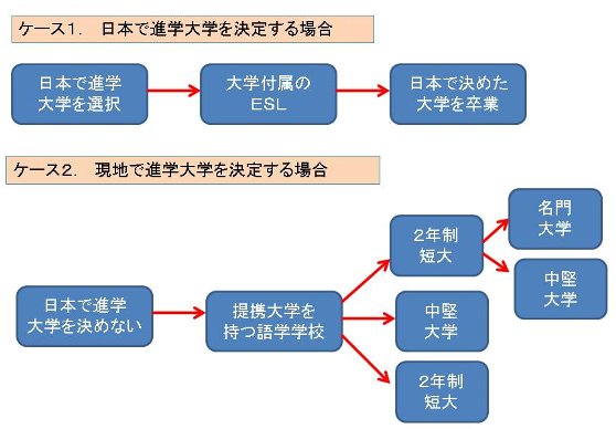 アメリカ大学留学中の進路選択