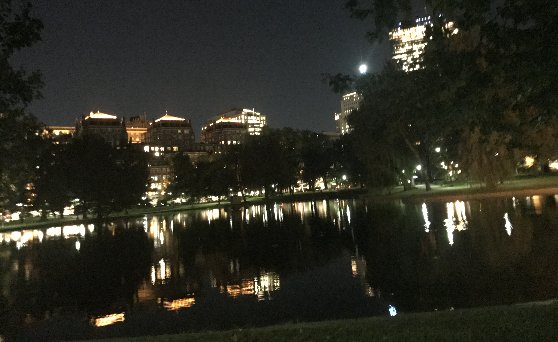 アメリカ・ボストンの治安の説明、夜の公園風景